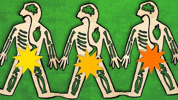 Cut-out of three beige skeletons, set against a green background, with stars covering their genitalia